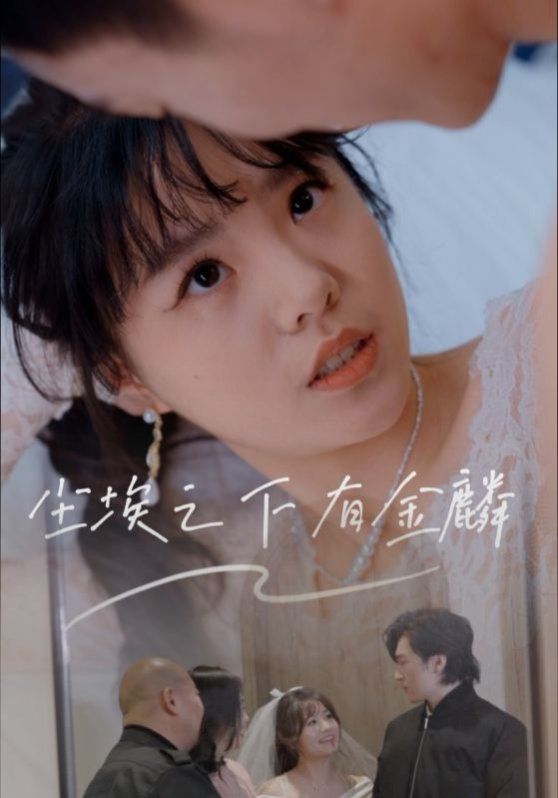 尘埃之下有金鳞 全集完结(大结局)