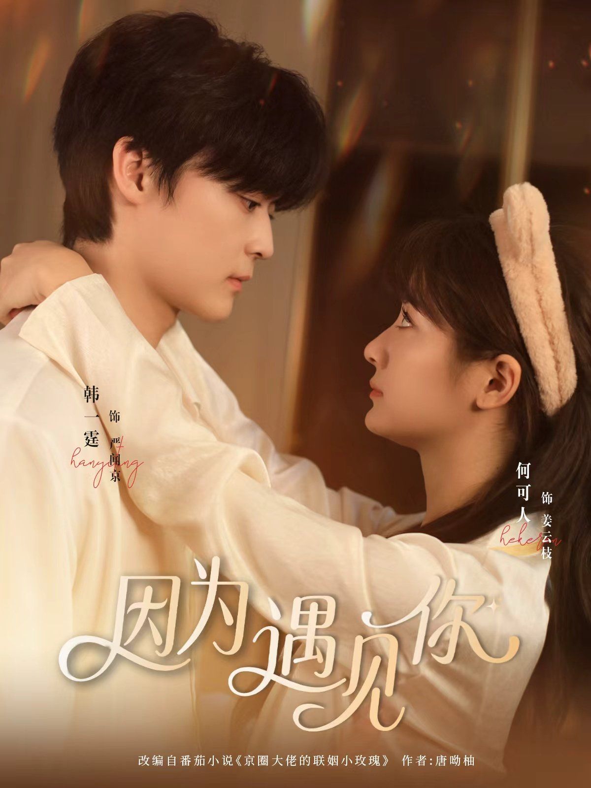 因为遇见你 全集完结(大结局)