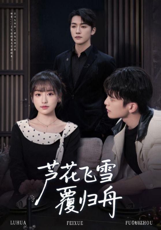 芦花飞雪覆归舟 全集完结(大结局)