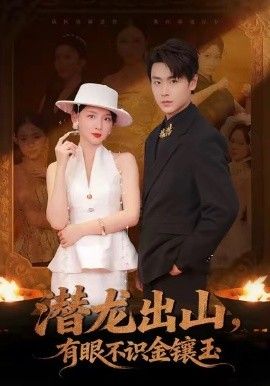潜龙出山有眼不识金镶玉 全集完结(大结局)