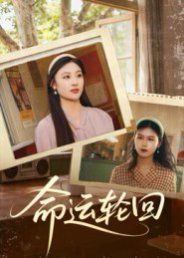 命运轮回 全集完结(大结局)