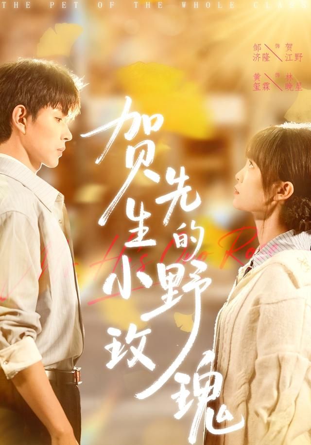 贺先生的小野玫瑰 全集完结(大结局)