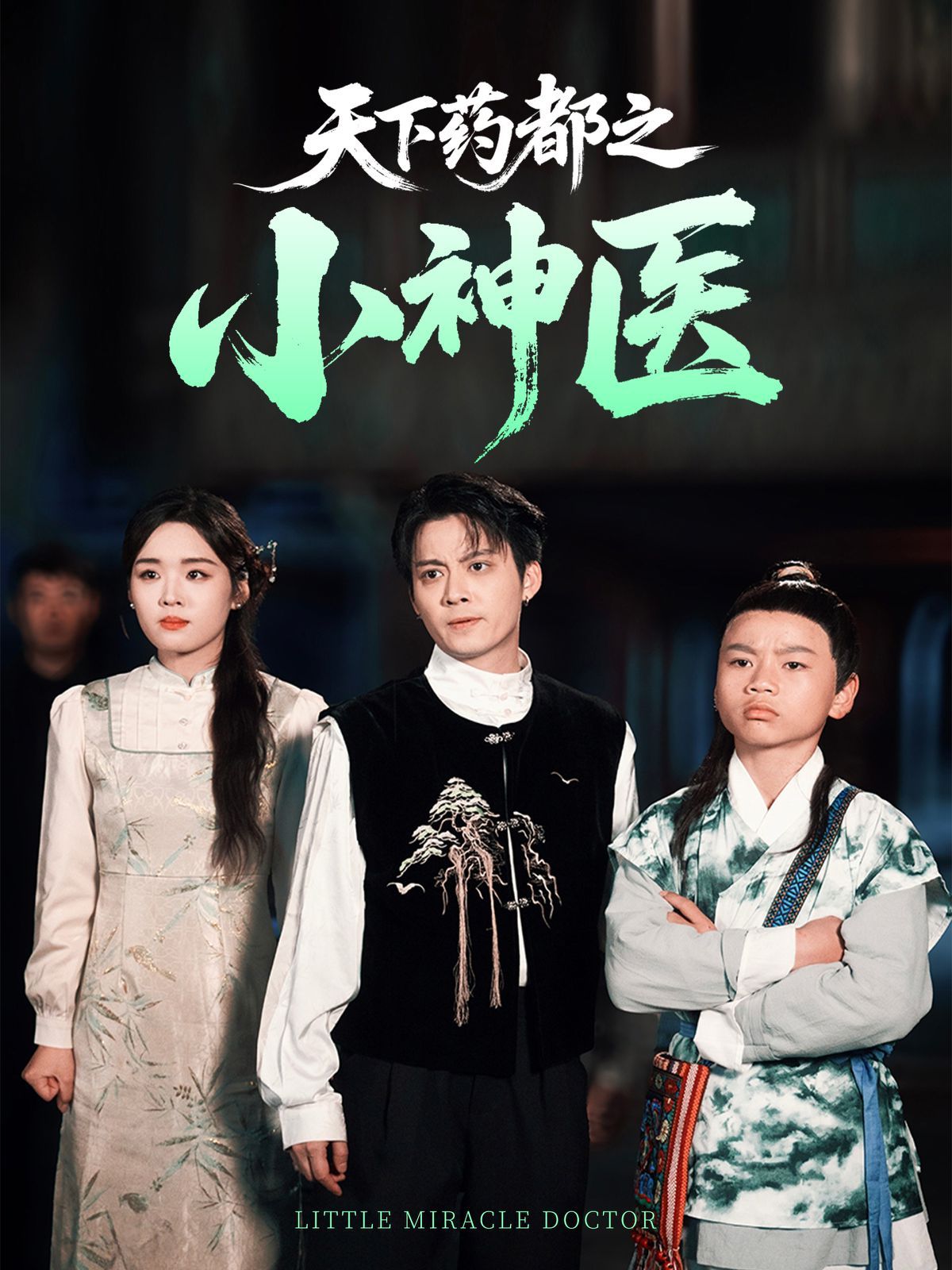 天下药都之小神医 全集完结(大结局)