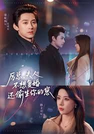 厉总，夫人不想复婚还偷生你的崽 全集完结(大结局)