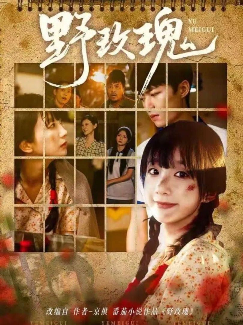 野玫瑰 全集完结(大结局)