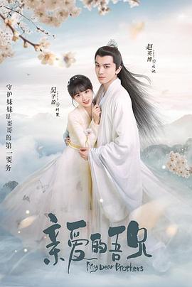 亲爱的吾兄 第29集