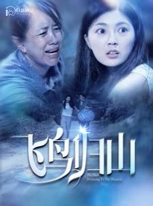 飞鸟归山 第1-20集