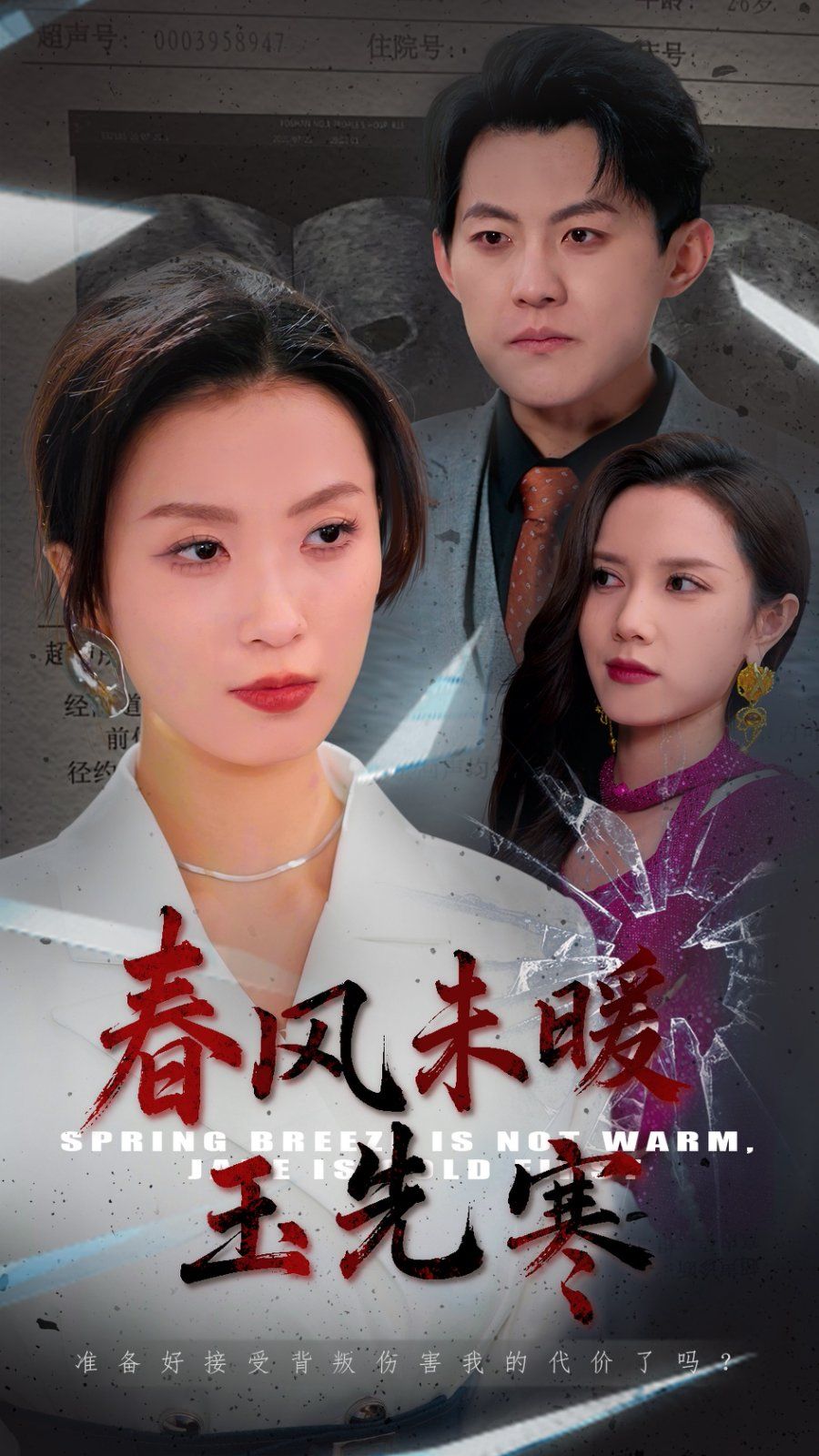 春风未暖玉先寒 第22集