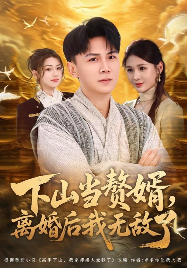 下山当赘婿，离婚后我无敌了 全集完结(大结局)