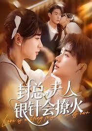 封总，夫人银针会撩火 全集完结(大结局)