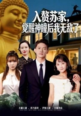 赘苏家，觉醒神瞳后我无敌了 全集完结(大结局)