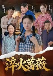 淬火蔷薇 全集完结(大结局)