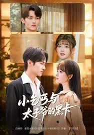 小乞丐与太子爷的黑卡 全集完结(大结局)