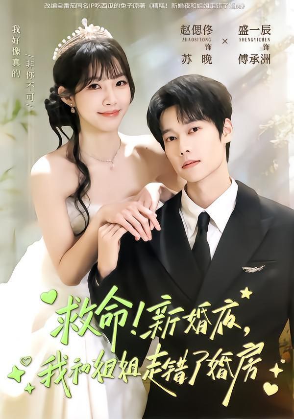 救命！新婚夜，我和姐姐走错了婚房 全集完结(大结局)