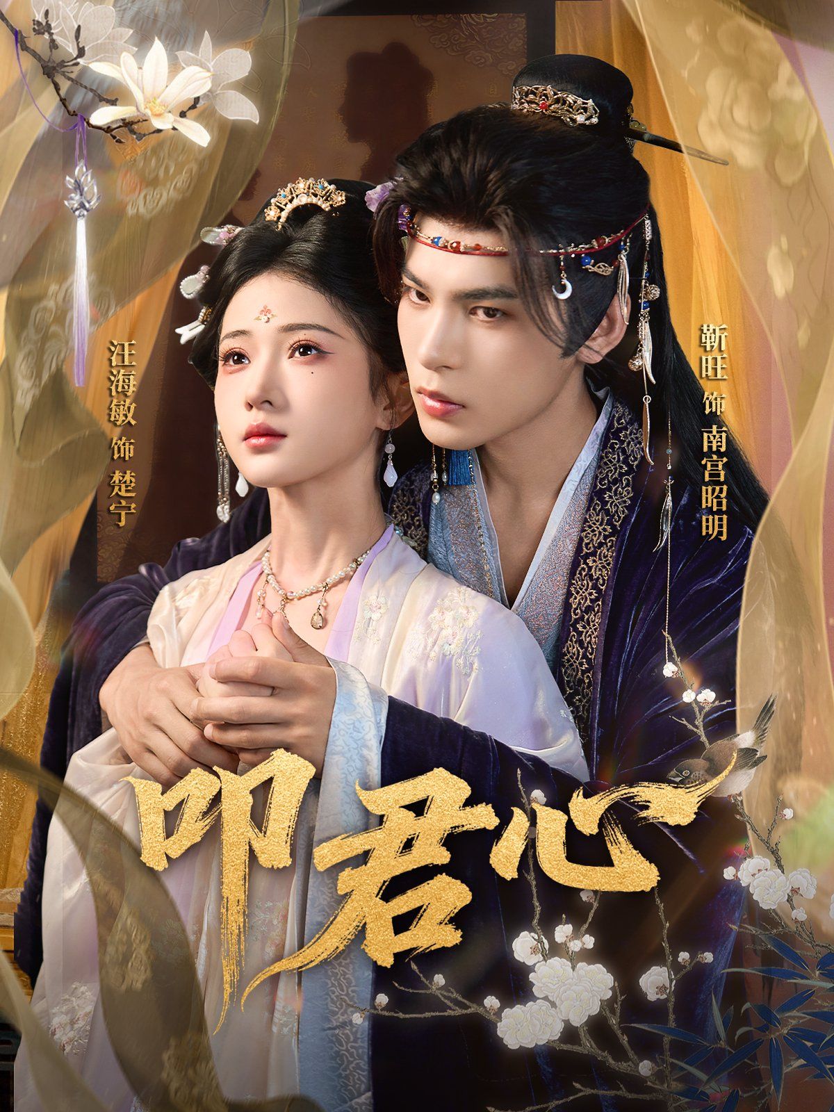 叩君心 全集完结(大结局)