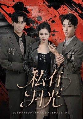 私有月光 全集完结(大结局)