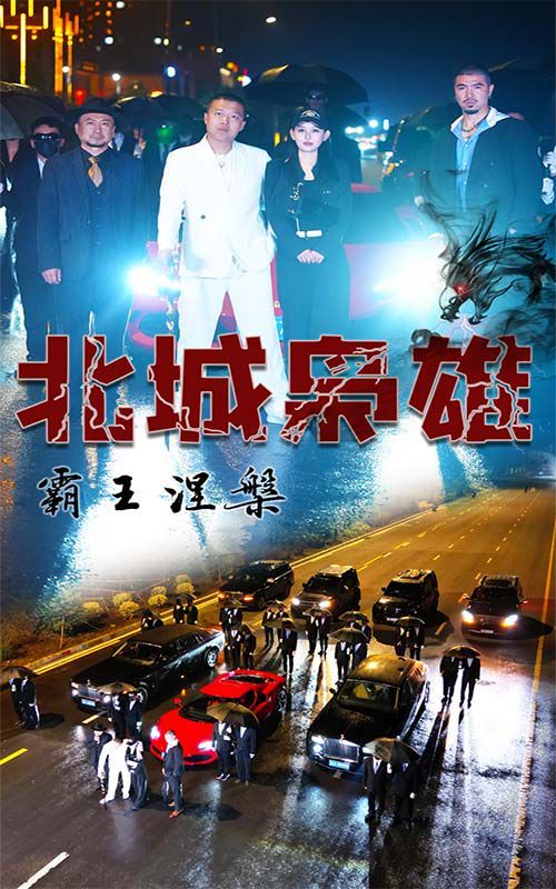 北城枭雄，霸王涅槃 第41-60集