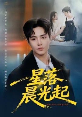 星落晨光起 全集完结(大结局)