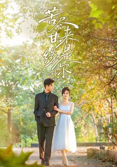 苦尽甘来缘是你 全集完结(大结局)