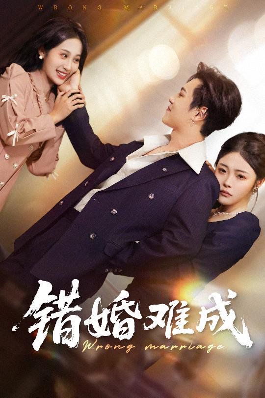 错婚难成 全集完结(大结局)