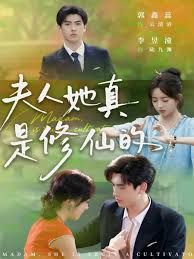 夫人她真是修仙的 全集完结(大结局)