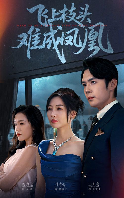 飞上枝头难成凤凰 全集完结(大结局)