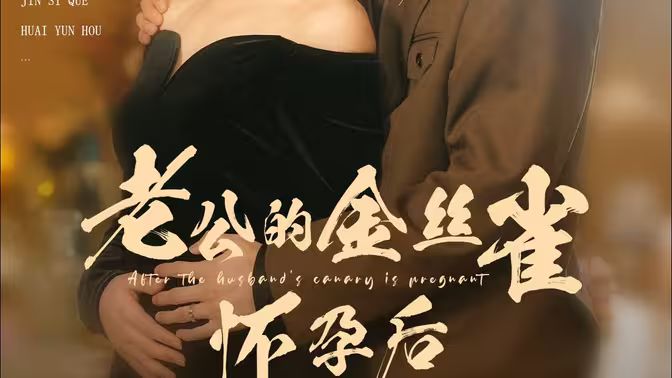 老公的金丝雀怀孕后 第31-73集完结(大结局)