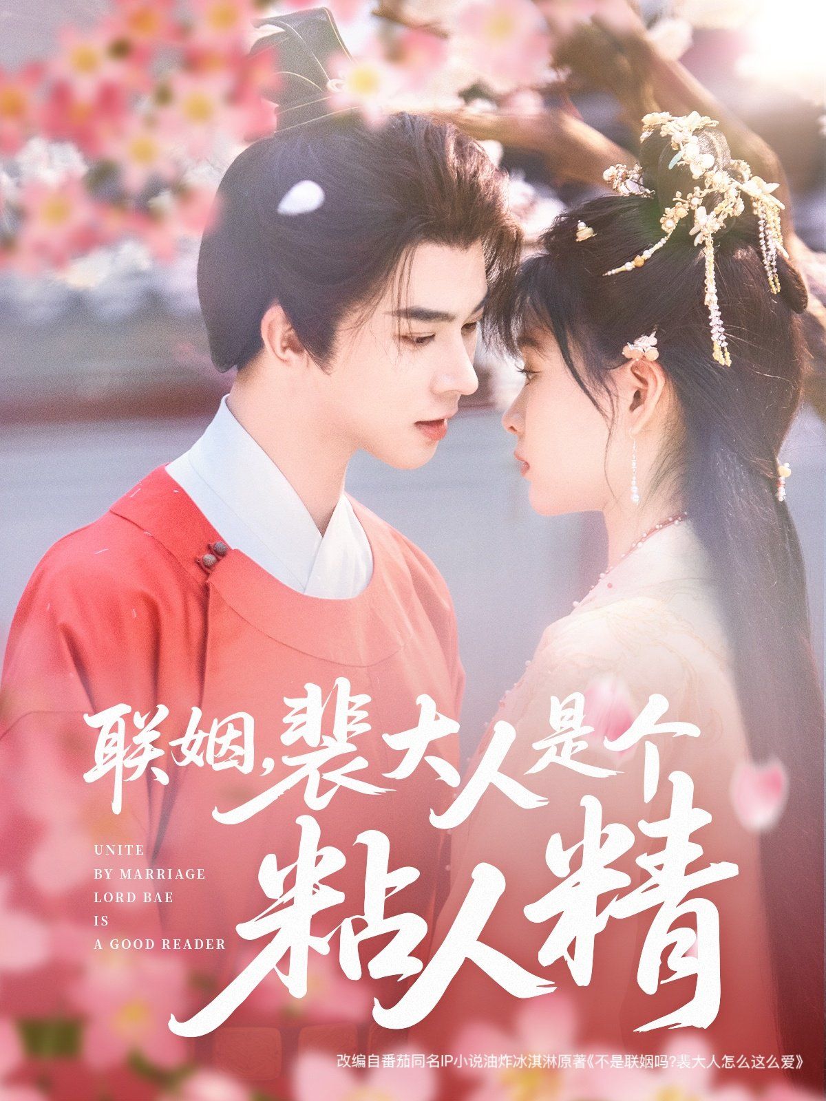 联姻裴大人是个粘人精 第1-20集