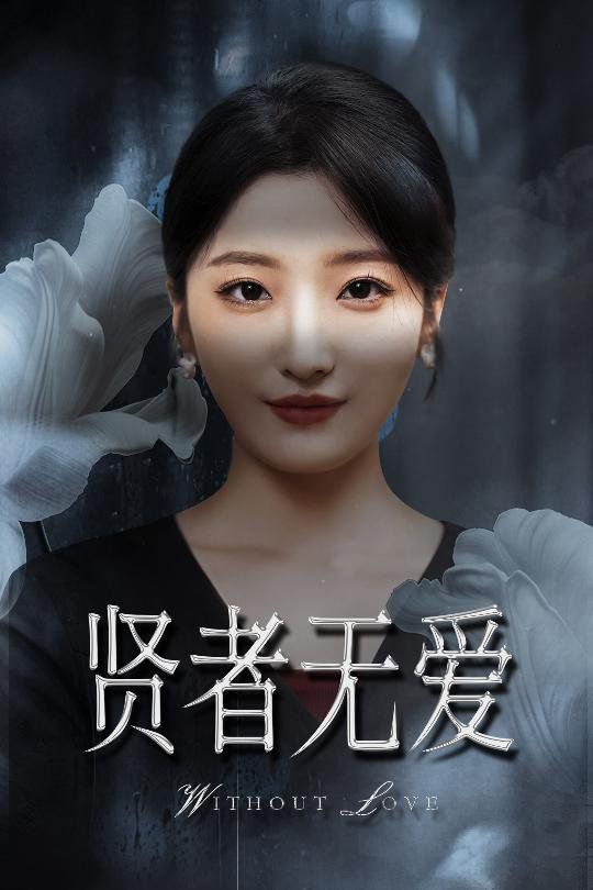 贤者无爱 全集完结(大结局)