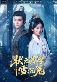 状元为母雪沉冤 全集完结(大结局)