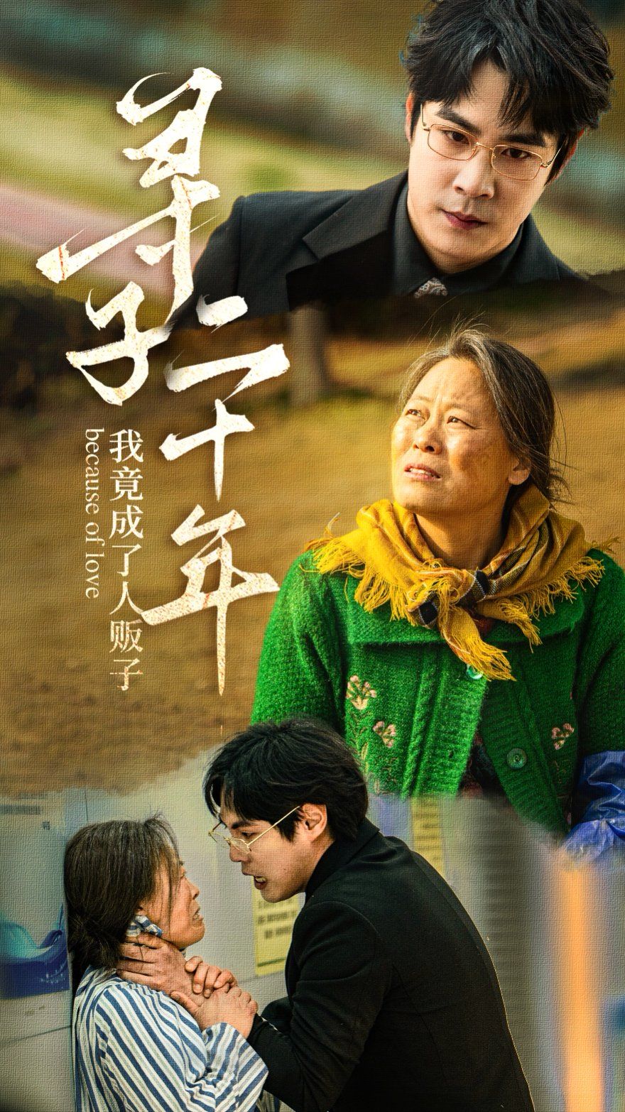 寻子二十年我竟成了人贩子 全集完结(大结局)