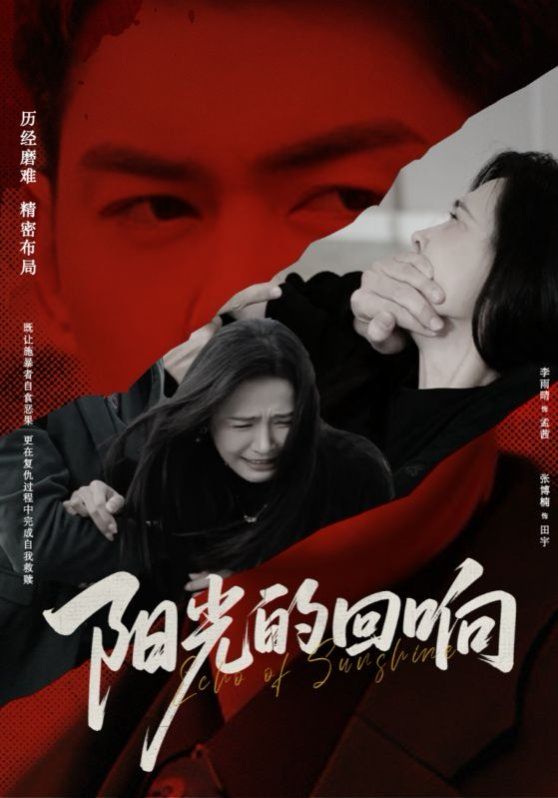 阳光的回响 全集完结(大结局)