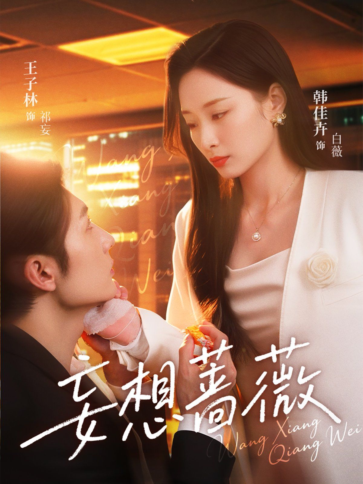 妄想蔷薇 全集完结(大结局)