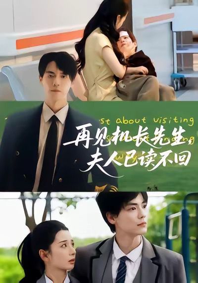 再见机长先生夫人已读不回 全集完结(大结局)