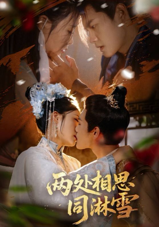 两处相思同淋雪 第03集