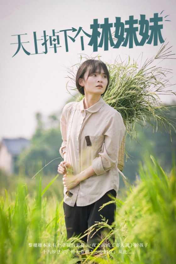 天上掉下个林妹妹 第1-20集