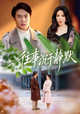 往事沉于静默 全集完结(大结局)