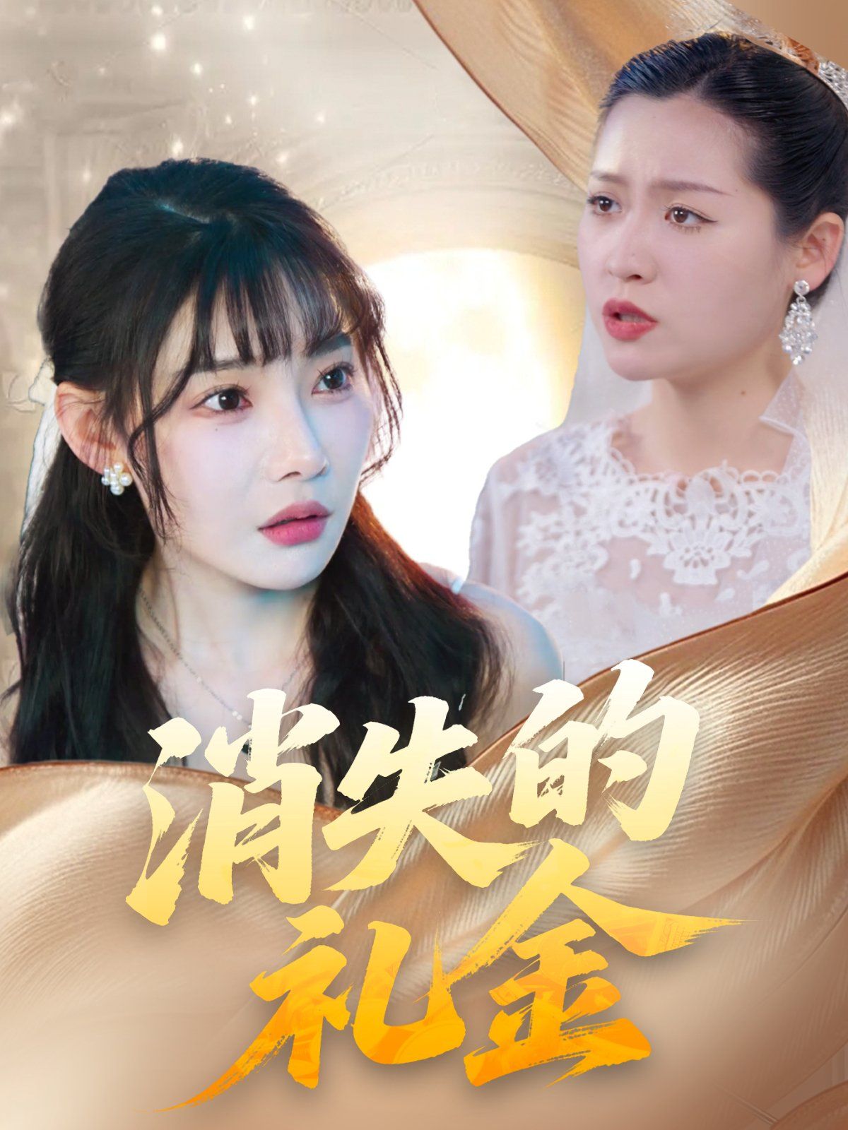 消失的礼金 全集完结(大结局)