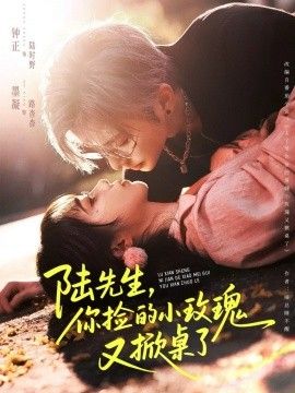 陆先生，你捡的小玫瑰又掀桌了 全集完结(大结局)