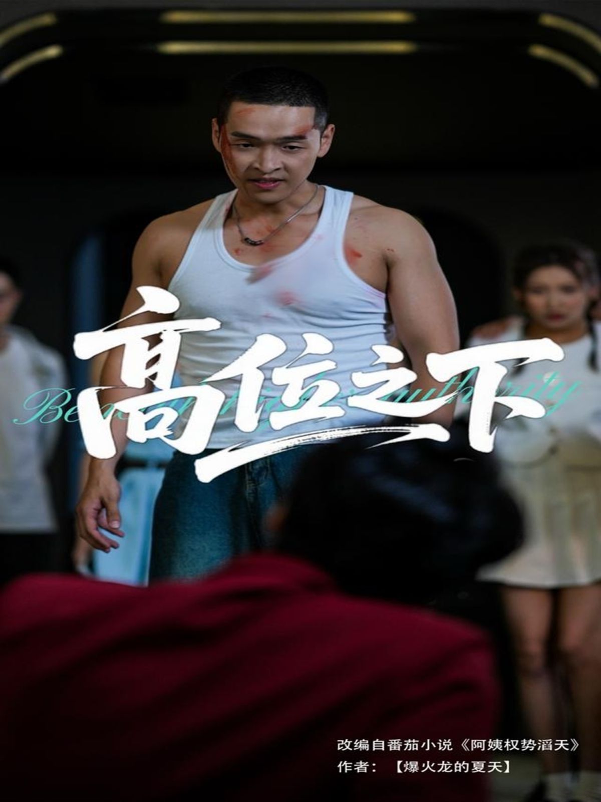 高位之下 全集完结(大结局)