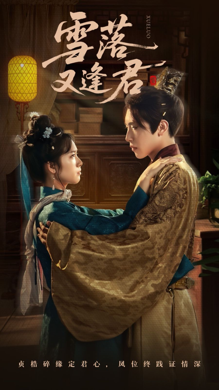 雪落又逢君 全集完结(大结局)