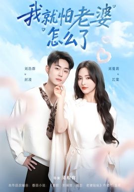 我就怕老婆怎么了 全集完结(大结局)