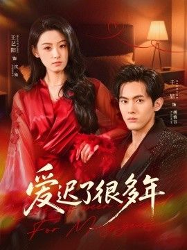 爱迟了很多年 全集完结(大结局)