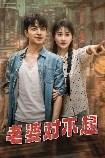 老婆对不起 第1-20集