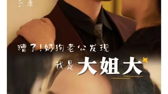 糟了！奶狗老公发现我是大姐大 第1-20集