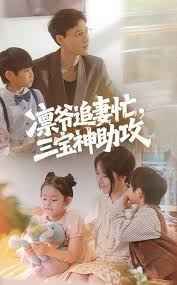 凛爷追妻忙三宝神助攻 全集完结(大结局)