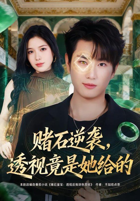 赌石逆袭，透视竟是她给的 全集完结(大结局)