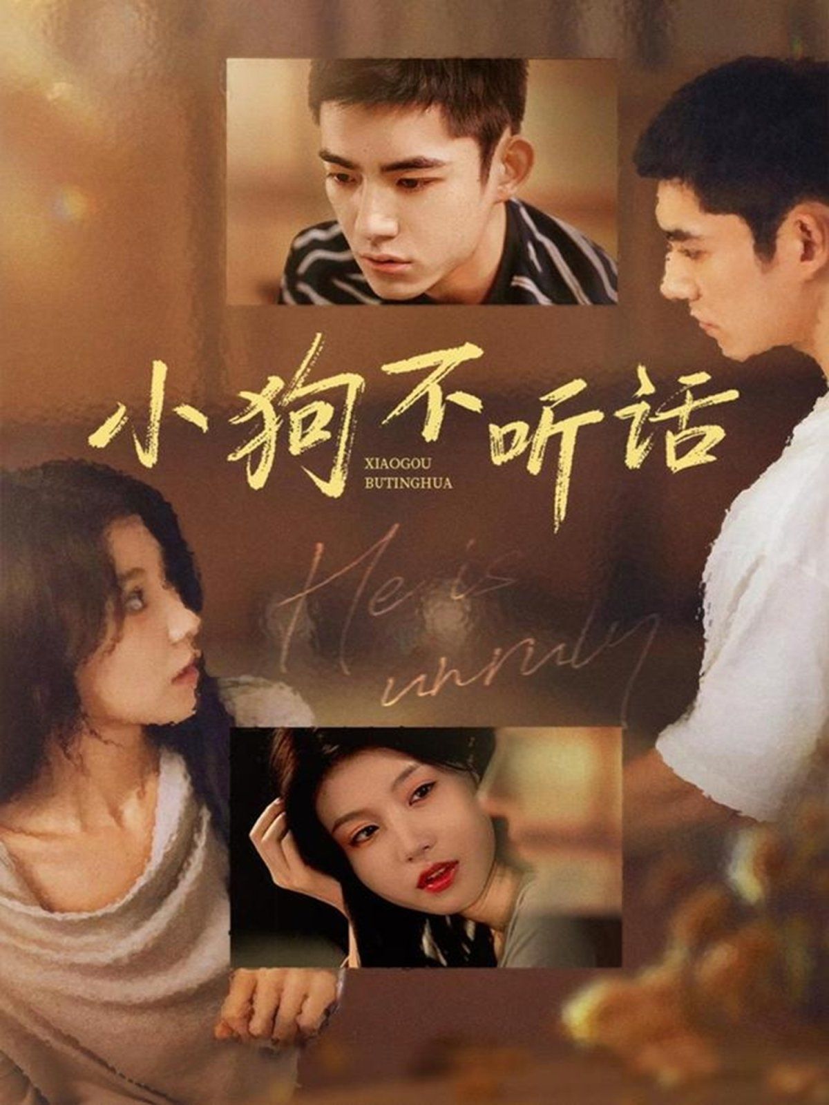 小狗不听话 全集完结(大结局)